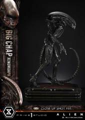 Prime 1 Studio Museum Masterline XL 1/3 Alien Film Big Chap Xenomorph favorite Close Up Shot Ver MMXLAL-03