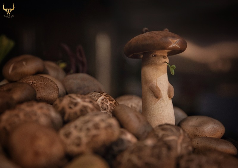 Taurus Workshop Mushroom Weasel