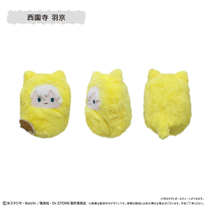 TAPIOCA Dr. STONE Pocket Zoo Plush Blind Box Vol.1 Reissue (Set of 6)