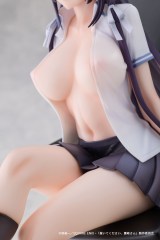 AFORCE x DRAGON HORSE Please Put Them On Takamine-san Takane Takamine 1/6 Scale Figure