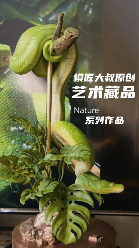 Mojiang Dashu Nature Series 1/6 Green Tree Python