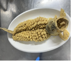 松子鱼（冷冻）6sku