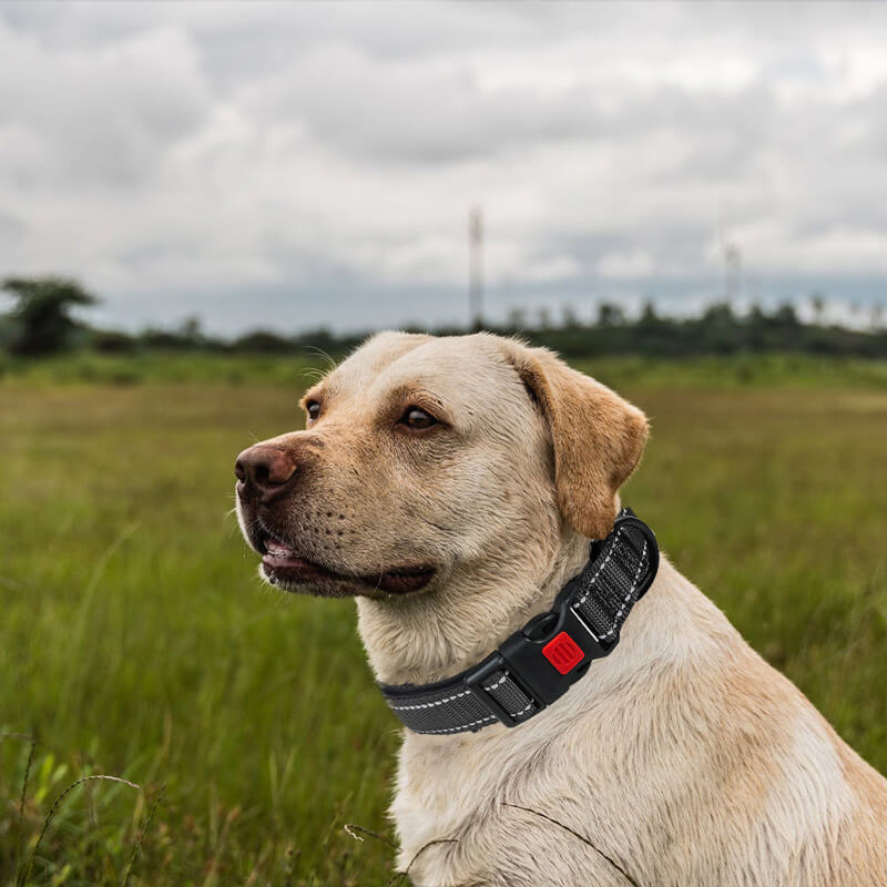 Reflective anti-escape safety lock dog collar, suitable for large, medium and small dogs