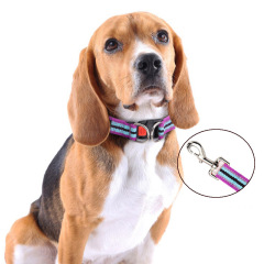 Colorblock Polyester Cotton Webbing Double D Buckle Dog Collar