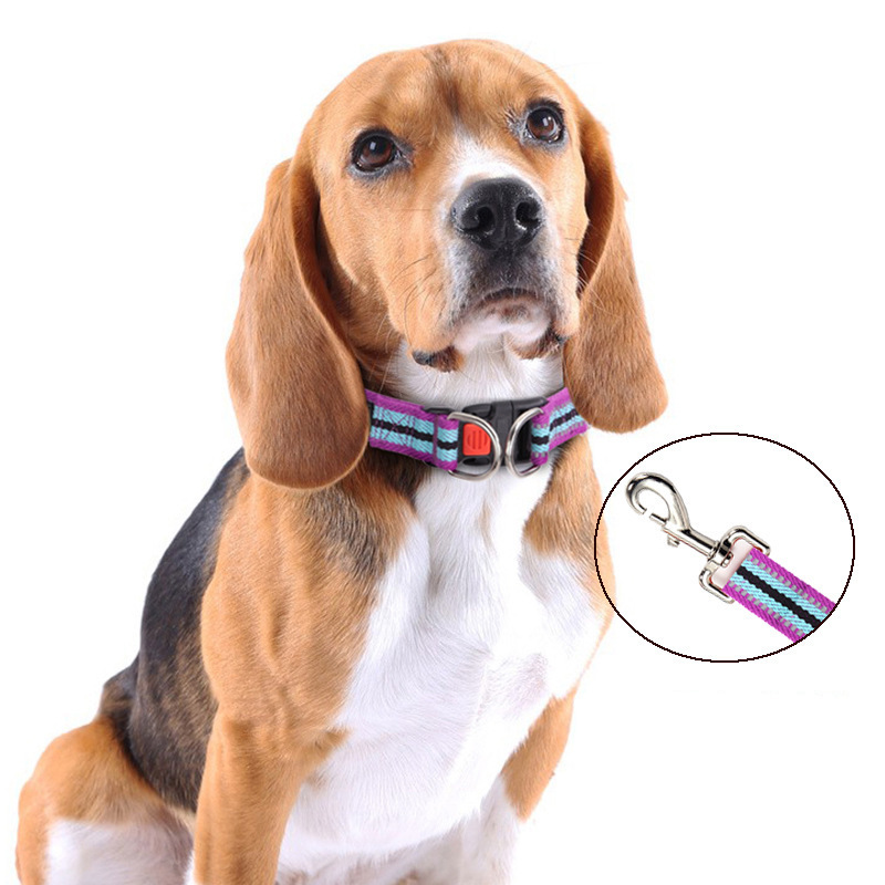 Colorblock Polyester Cotton Webbing Double D Buckle Dog Collar