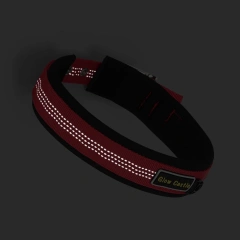 Glow In The Dark Pin Neoprene Design Big Reflective Nylon Wholesale Dog Collar Manufacturer Custom Training For Sale Dog Collar