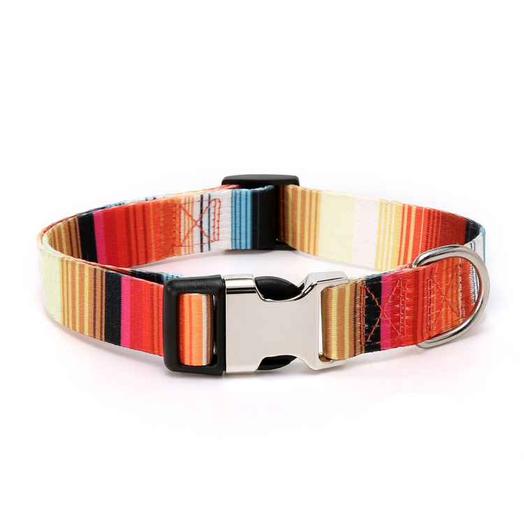 Cool pattern collar can be engraved pet collar