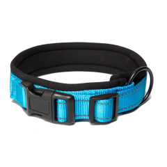 New nylon reflective diving material plastic buckle collar out walking dog neck ring