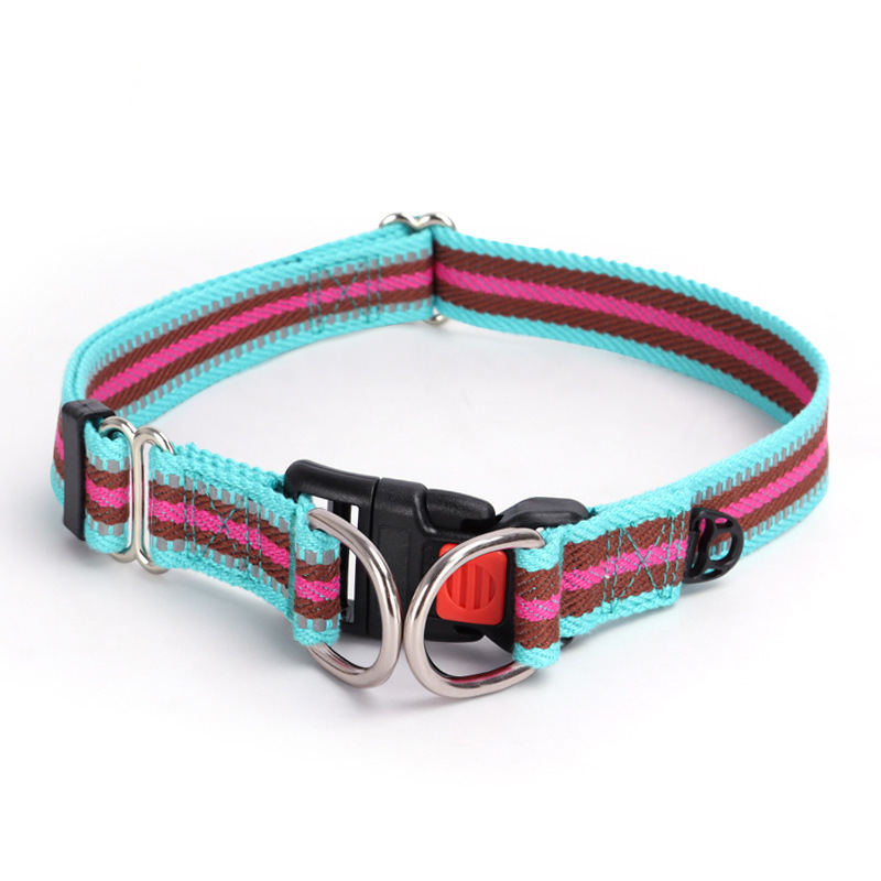 Colorblock Polyester Cotton Webbing Double D Buckle Dog Collar