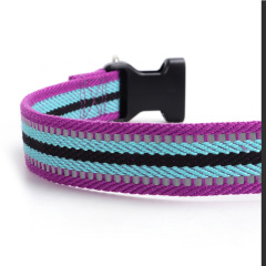 Colorblock Polyester Cotton Webbing Double D Buckle Dog Collar