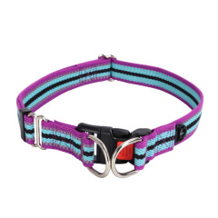Colorblock Polyester Cotton Webbing Double D Buckle Dog Collar