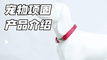 Manufacturer Direct Sale Pet Supplies Nylon Reflective Pet Dog Collar Solid Color Lettering Metal Buckle Collar for Cats Dogs