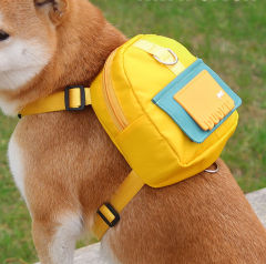 Small and medium-sized pet backpack with leash