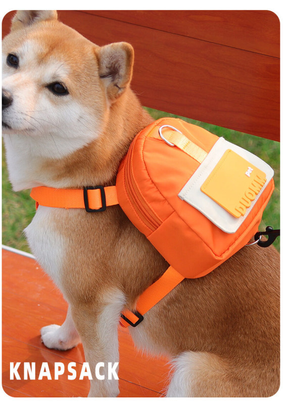 Small and medium-sized pet backpack with leash