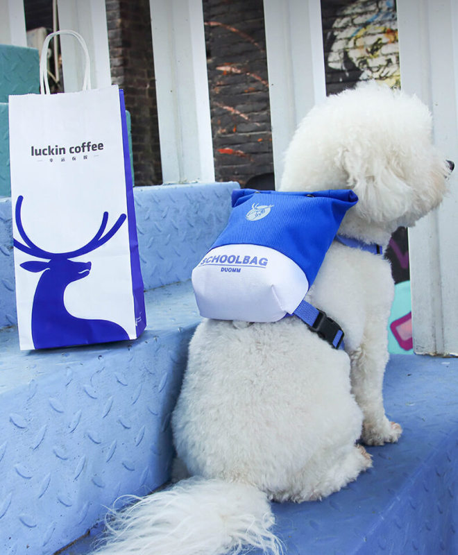 Small and medium-sized pet backpack with leash