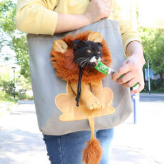 Portable one-shoulder thickened canvas cat bag, little lion shaped cat bag