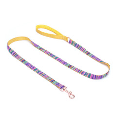 Wholesale Custom Pet Dog Collar Colorful Stripes Medium Small Luxury Nylon Metal Buckle Pet Dog Collar and Leash Set
