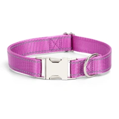 Manufacturer Direct Sale Pet Supplies Nylon Reflective Pet Dog Collar Solid Color Lettering Metal Buckle Collar for Cats Dogs