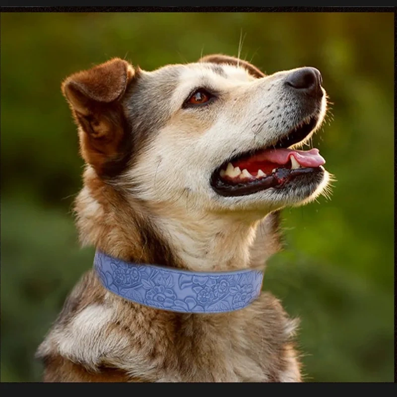 Dog Collar Belt For Pet Dogs Exclusive manufacturer handmade dog collar belt with buckle closer for pets in daily use