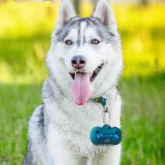Name:High grade silicone pet litter bag pill dispenser