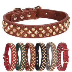 Anti-bite rivet medium and large dog collar