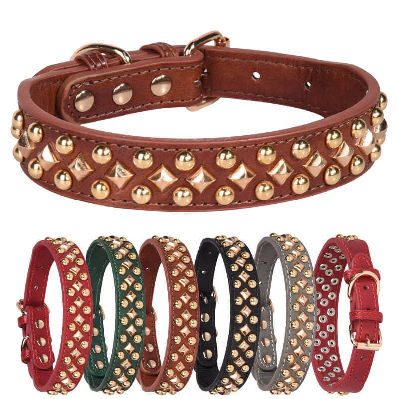 Anti-bite rivet medium and large dog collar