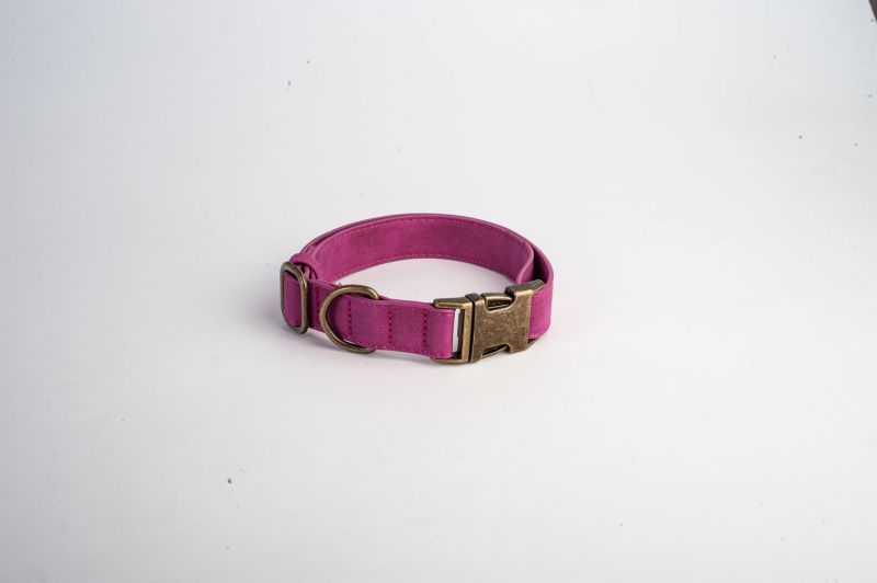 Engravable Vintage Metal Leather Dog Collar