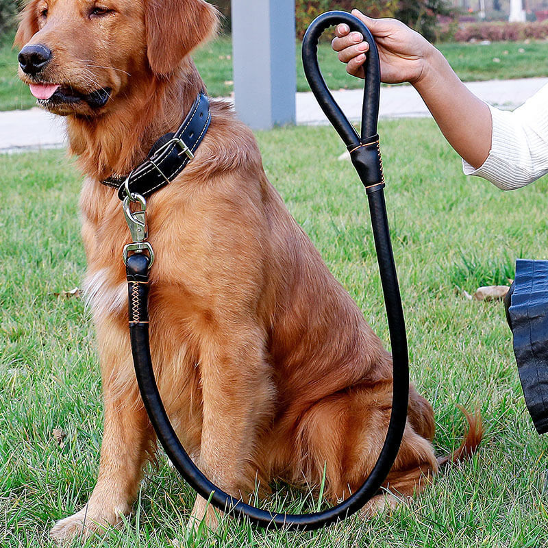 Outdoor pet Walking Leads Luxury Adjustable PU Pet Dog Collar And Leash Set for Large Medium Dog