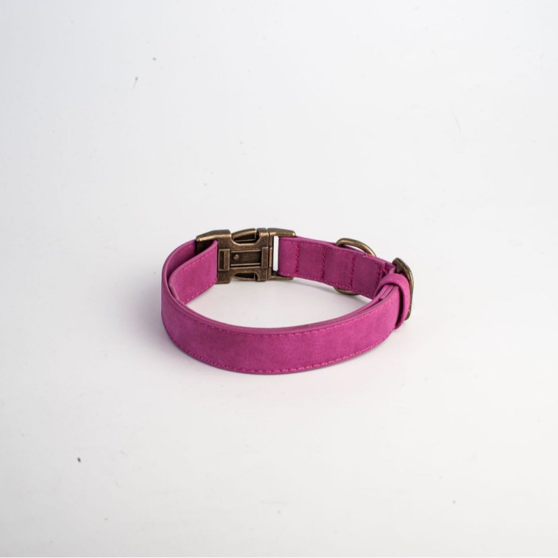 Engravable Vintage Metal Leather Dog Collar
