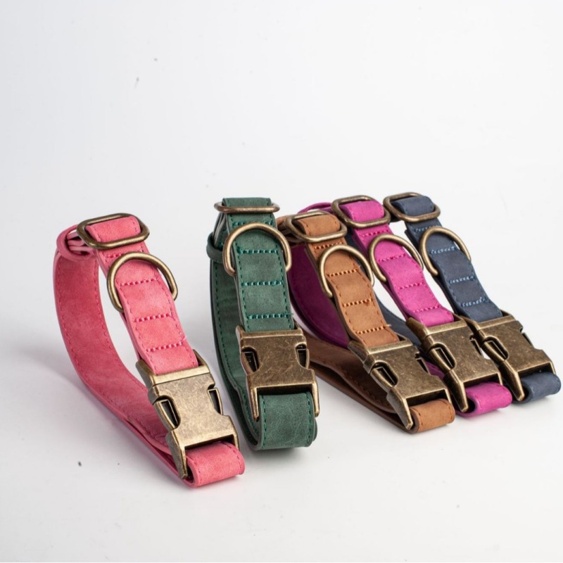 Engravable Vintage Metal Leather Dog Collar
