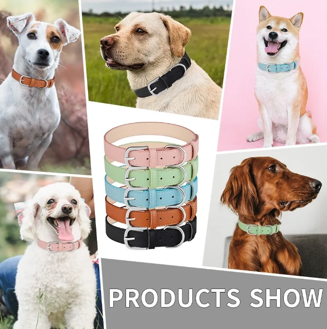 Luxury Fashion Brand Pet Collar Popular Designer Dog Vegan Leather Collar Wholesale