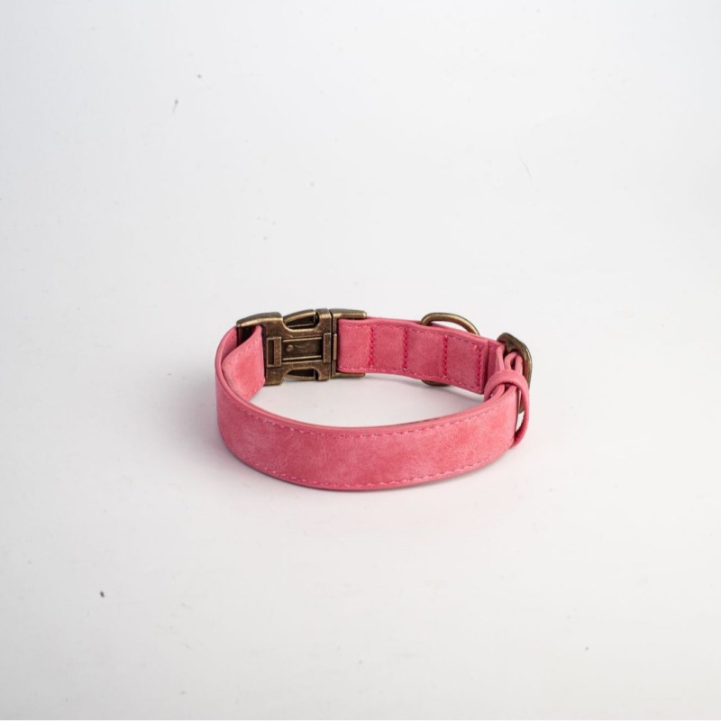 Engravable Vintage Metal Leather Dog Collar
