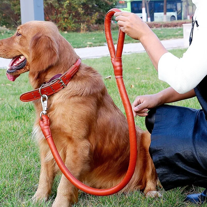 Outdoor pet Walking Leads Luxury Adjustable PU Pet Dog Collar And Leash Set for Large Medium Dog