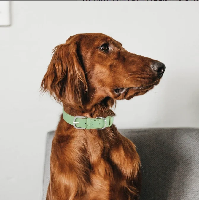 Luxury Fashion Brand Pet Collar Popular Designer Dog Vegan Leather Collar Wholesale