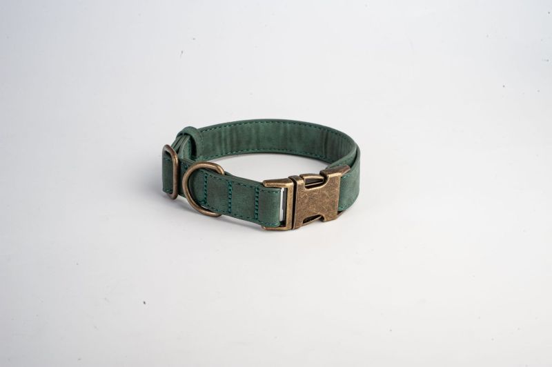 Engravable Vintage Metal Leather Dog Collar