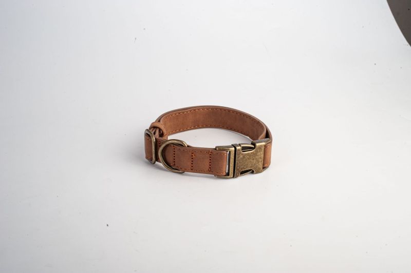 Engravable Vintage Metal Leather Dog Collar