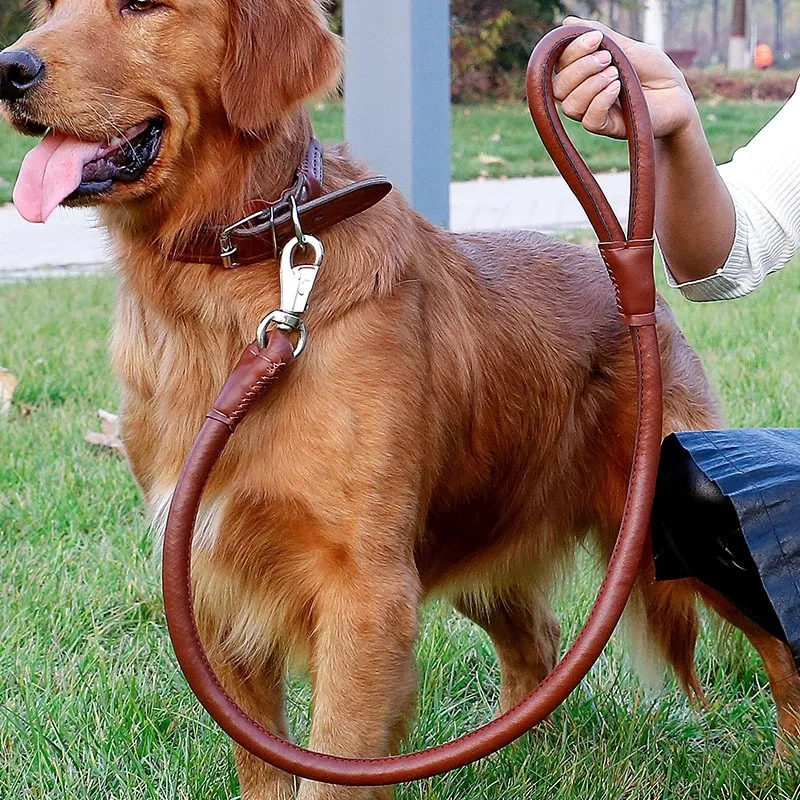Outdoor pet Walking Leads Luxury Adjustable PU Pet Dog Collar And Leash Set for Large Medium Dog