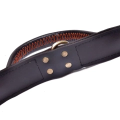 Custom logo heavy duty medium large dog collar with handle leather