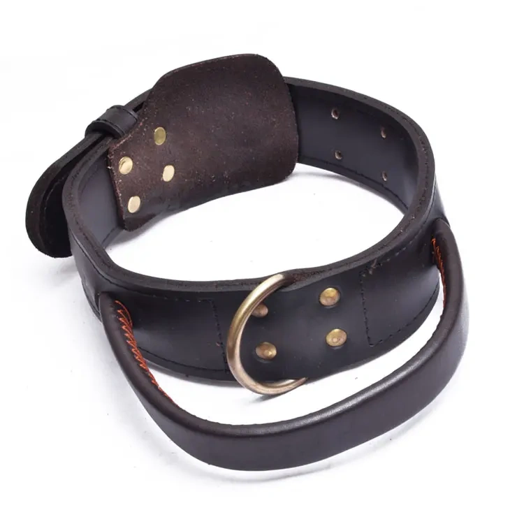 Custom logo heavy duty medium large dog collar with handle leather