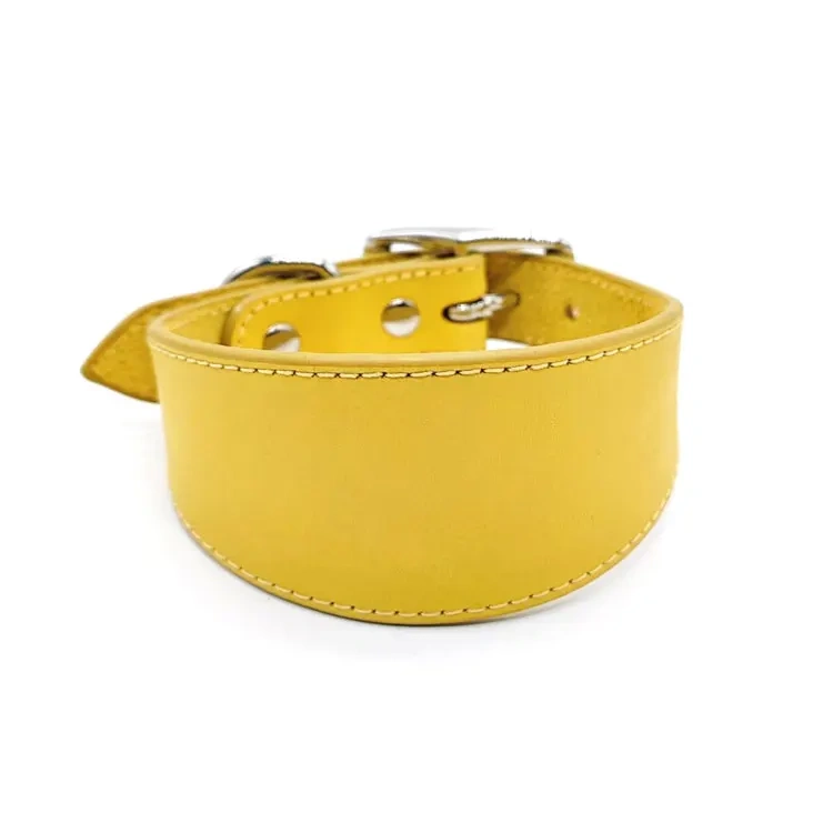High quality multiple colors extra wide tapered leather greyhound collar