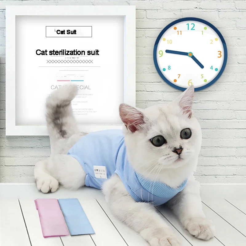 Recovery Cat  Surgical Abdominal Wounds Pet Clothes  Accessories Postoperative Surgical Professional Recovery Cat Clothes