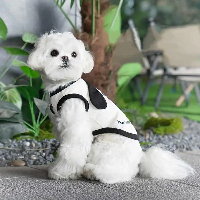 Factory Wholesale OEM Custom Luxury Pet Clothes Fashion Cartoon 3D Dog T Shirt Vest Puppy New Designer Dog Clothes For Summer
