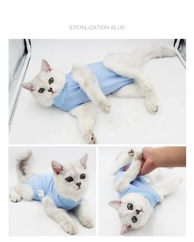 Recovery Cat  Surgical Abdominal Wounds Pet Clothes  Accessories Postoperative Surgical Professional Recovery Cat Clothes