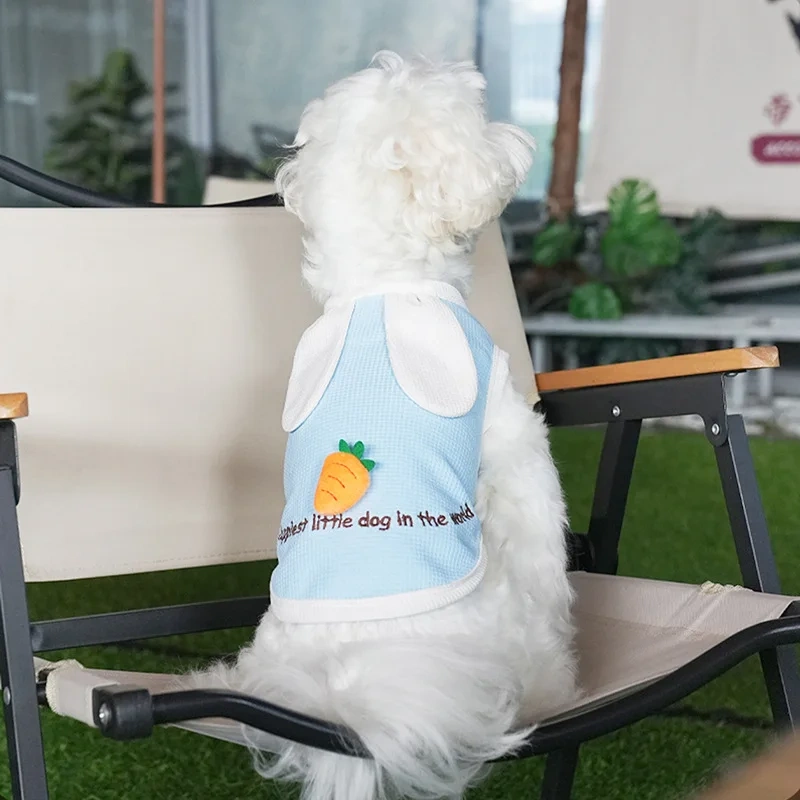 Factory Wholesale OEM Custom Luxury Pet Clothes Fashion Cartoon 3D Dog T Shirt Vest Puppy New Designer Dog Clothes For Summer