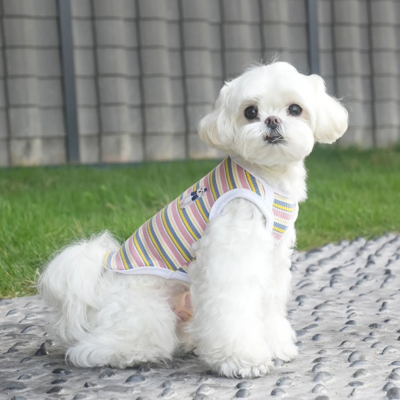 High Quality Pet Apparel Accessories Dog Clothes Wholesale Autumn And Winter New Soft Comfortable Plain Dog T shirts For Puppy