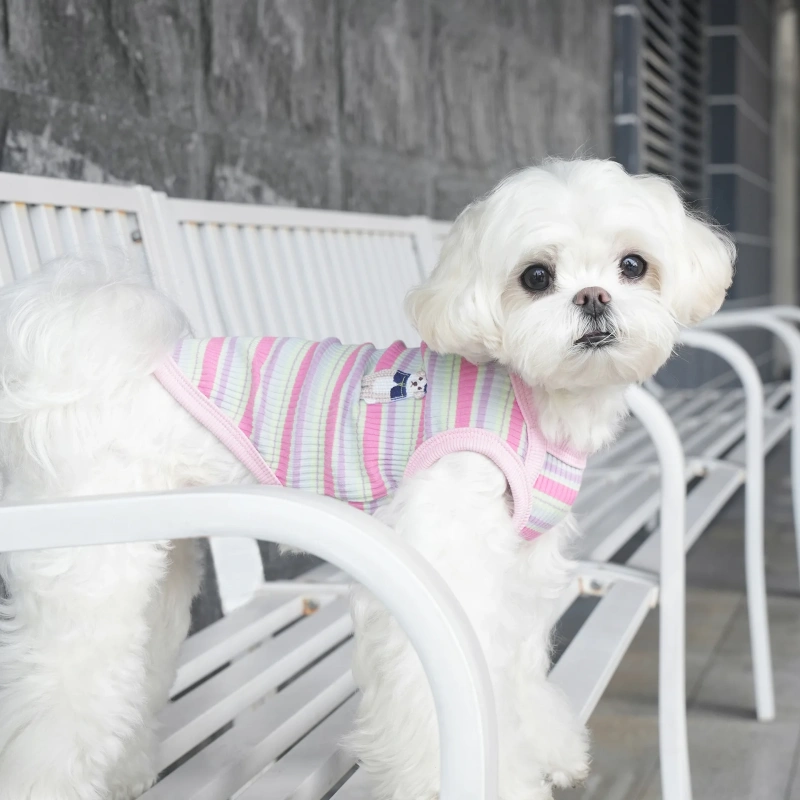 High Quality Pet Apparel Accessories Dog Clothes Wholesale Autumn And Winter New Soft Comfortable Plain Dog T shirts For Puppy