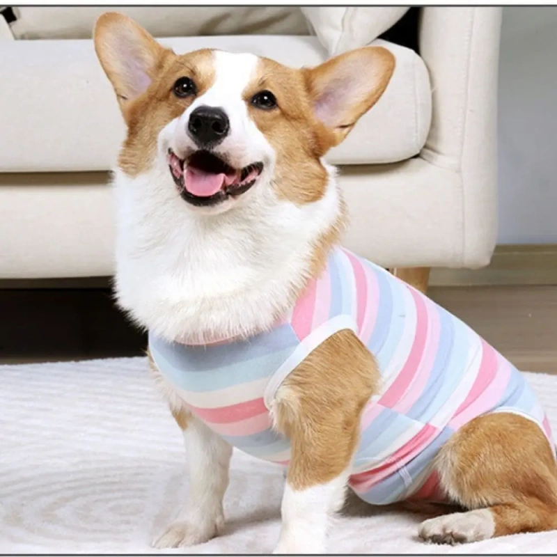 Pets bite post operative shirt puppy surgical pajamas bodysuit for dogs cats