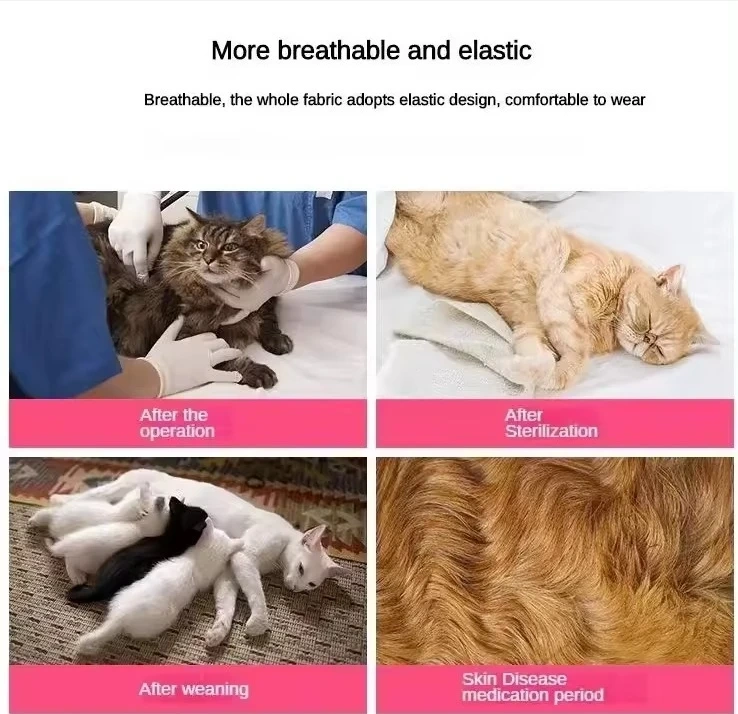 Breathable Pet Cat Sterilization Suit Lace Neckline Pet Puppy Cat Rehabilitation Surgery Recovery Suit Pet Supplies all-season
