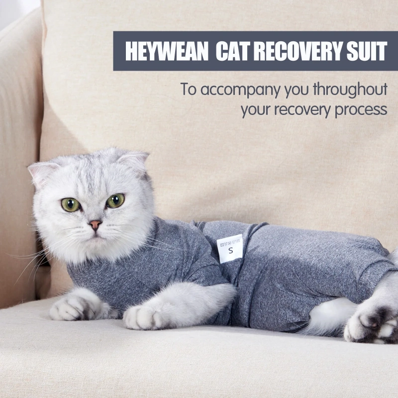 Pet Supplies Fashion Soft Breathable Anti-Shedding Four-Legged Cat Recovery Suit Pet Cat Neutering Clothes