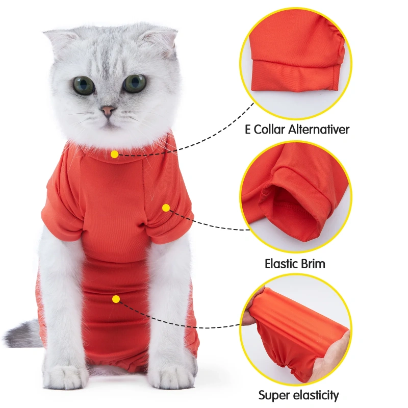 Pet Supplies Fashion Soft Breathable Anti-Shedding Four-Legged Cat Recovery Suit Pet Cat Neutering Clothes